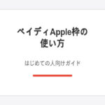 ペイディアップル枠の使い方｜はじめての人向けガイド